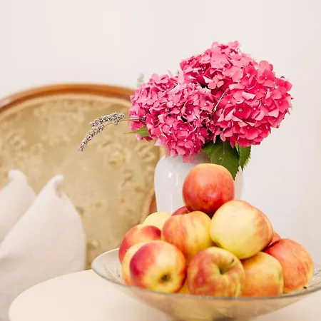 Gaestehaus Salvatorianerinnen Hotel